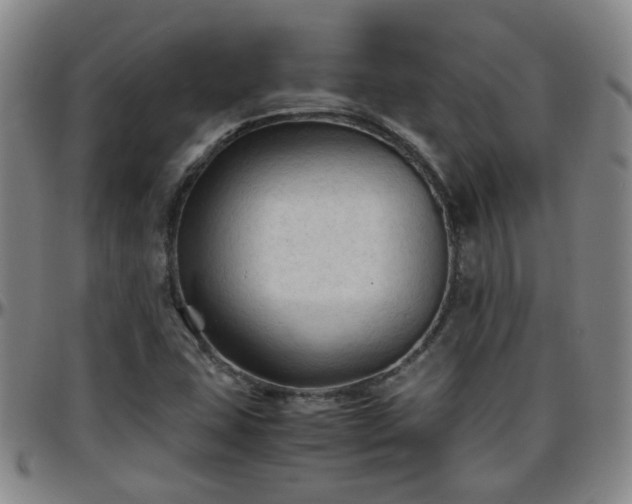 X0000096441407200801311419