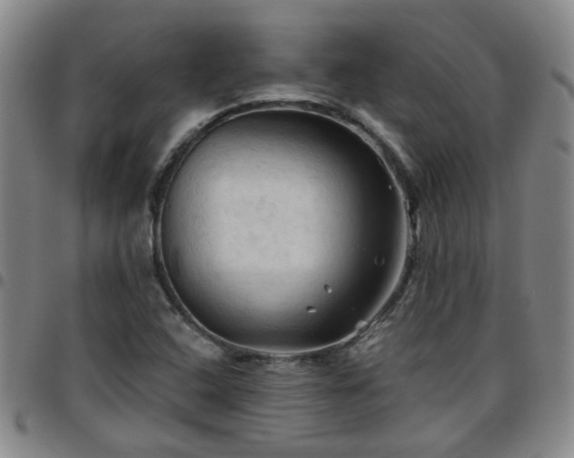 X0000096441408200801311419