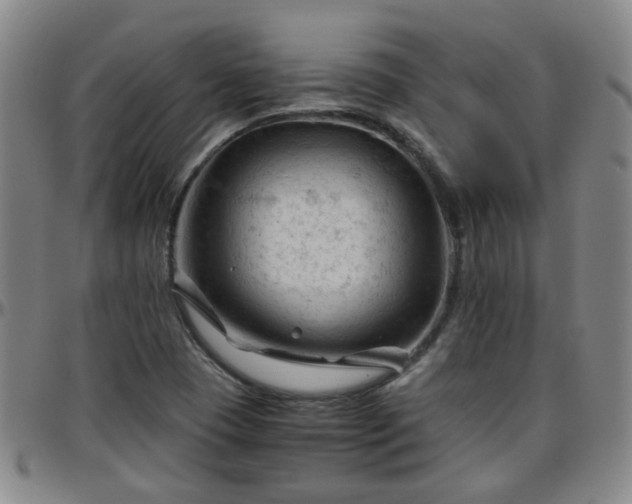 X0000096441409200801311419
