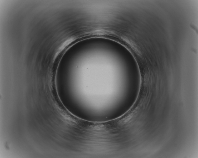 X0000096441410200801311419
