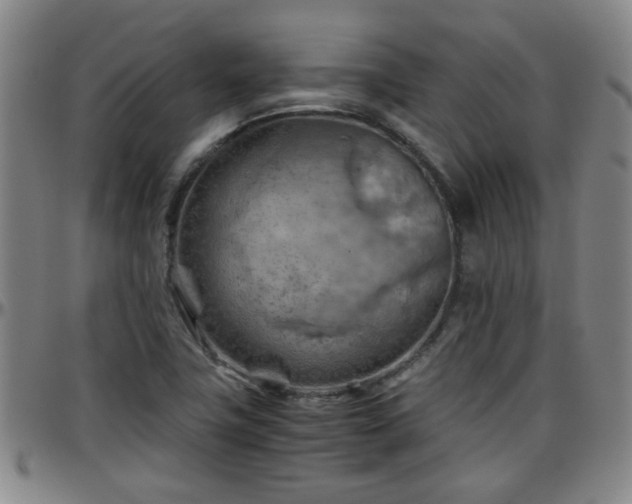 X0000096441411200801311419