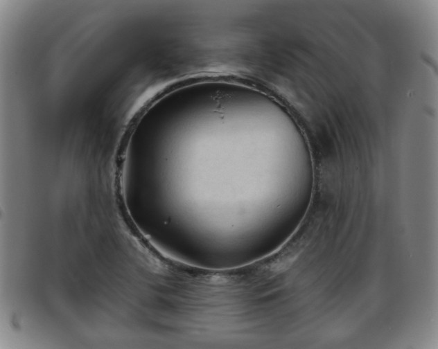 X0000096441412200801311419