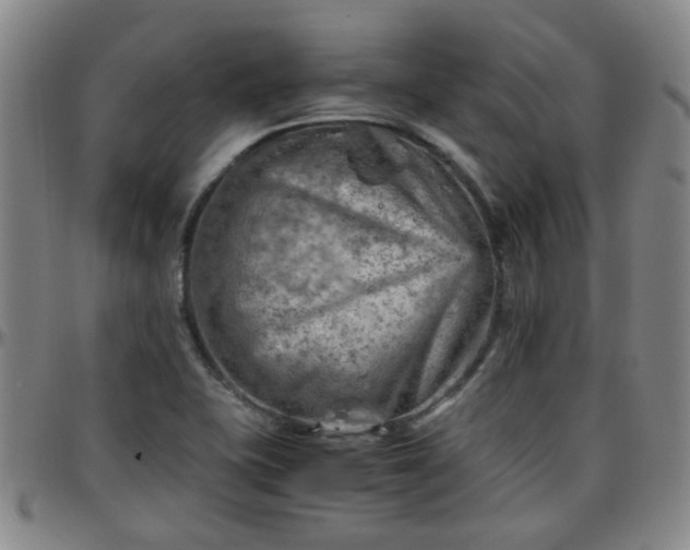 X0000096441415200801311419