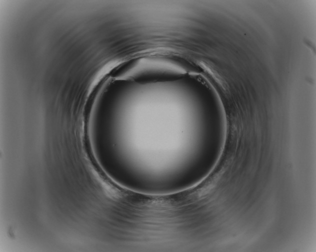 X0000096441418200801311419