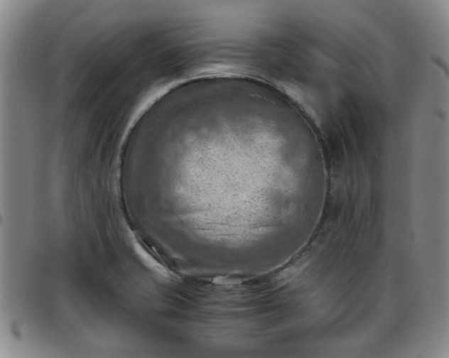 X0000096441421200801311419