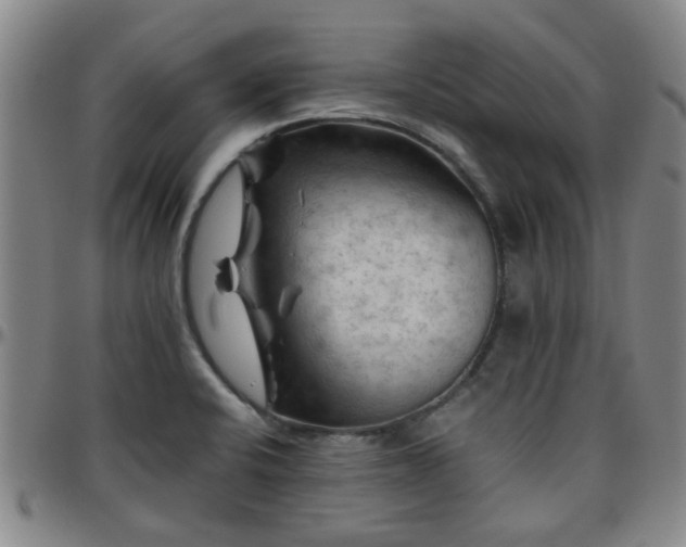X0000096441424200801311419