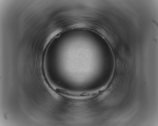 X0000096441426200801311419