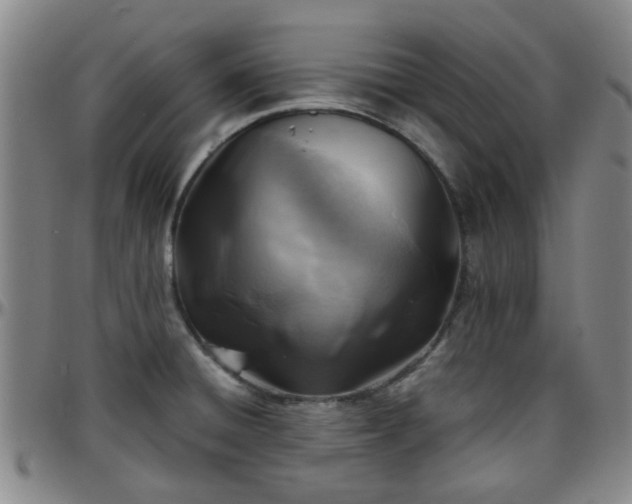 X0000096441428200801311419