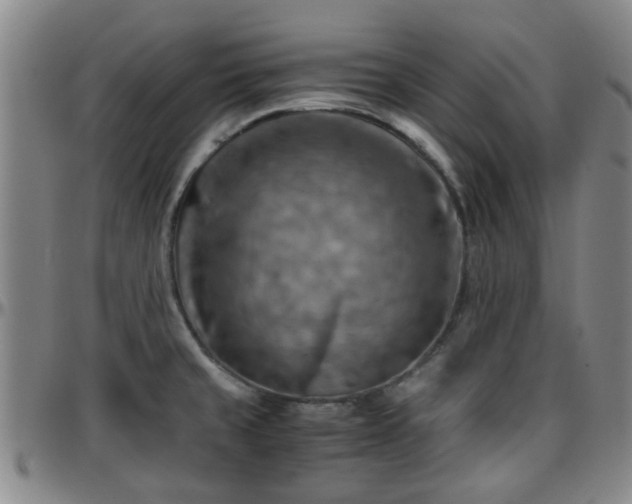 X0000096441429200801311419