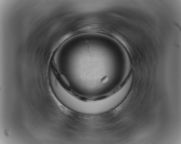 X0000096441434200801311419