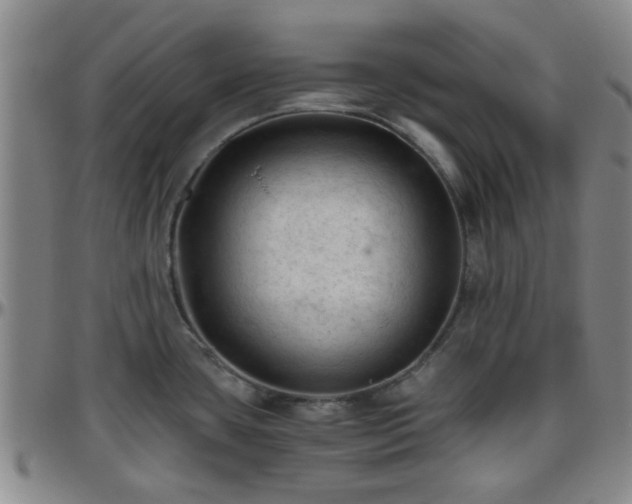 X0000096441435200801311419