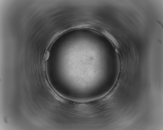 X0000096441436200801311419