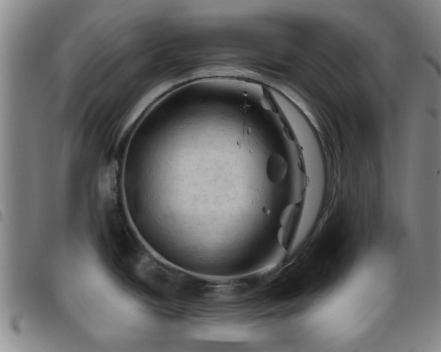 X0000096441438200801311419