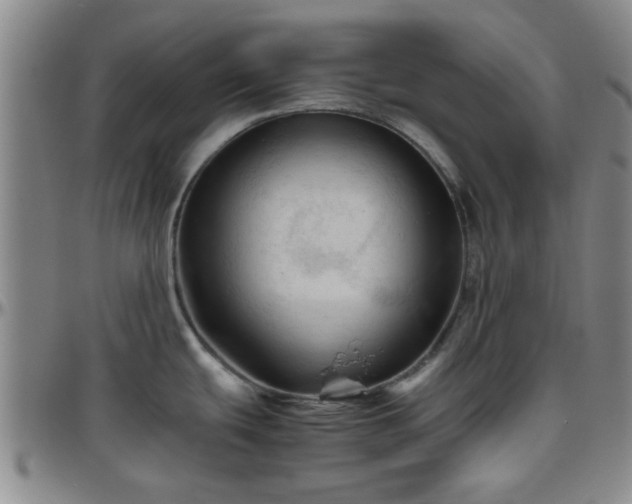 X0000096441439200801311419