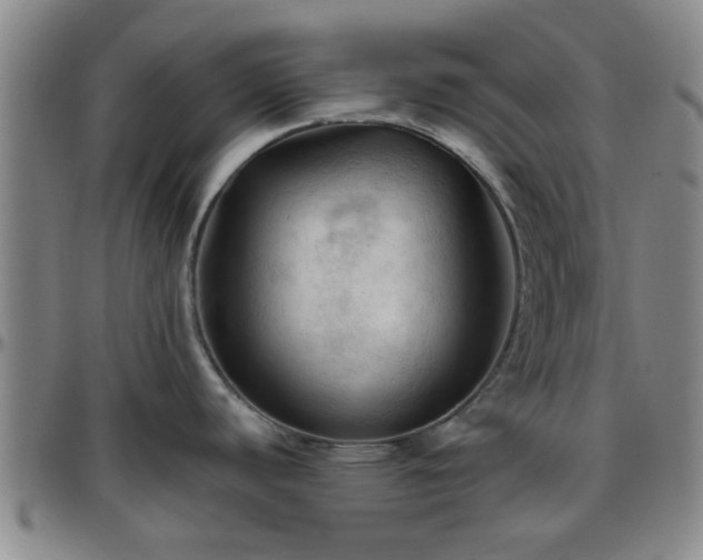 X0000096441440200801311419
