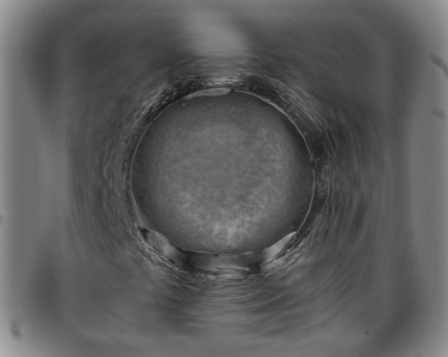 X0000096441441200801311419