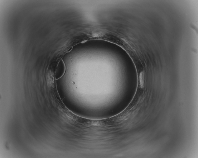 X0000096441443200801311419