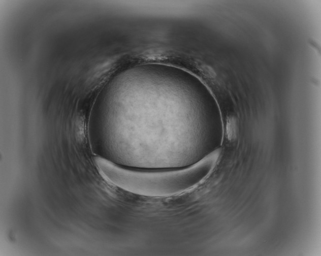 X0000096441444200801311419