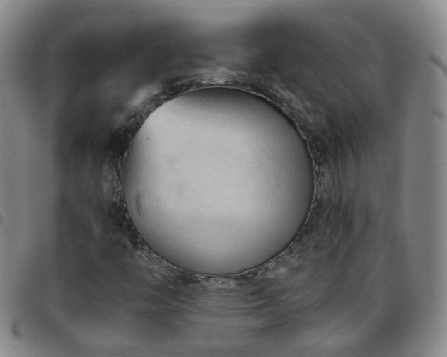X0000096441446200801311418