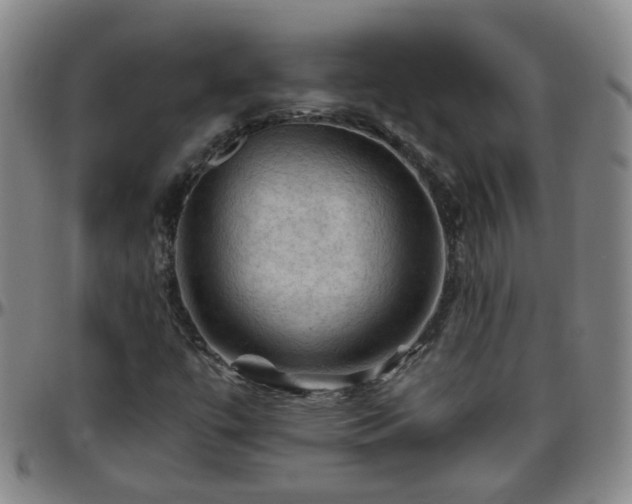 X0000096441447200801311418