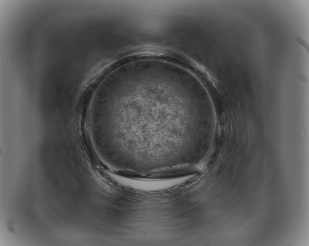 X0000096441448200801311418