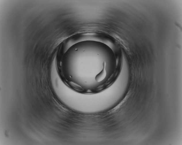 X0000096441449200801311418