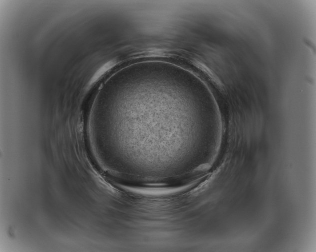 X0000096441450200801311418