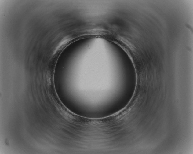 X0000096441451200801311418