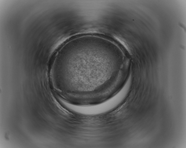 X0000096441452200801311418