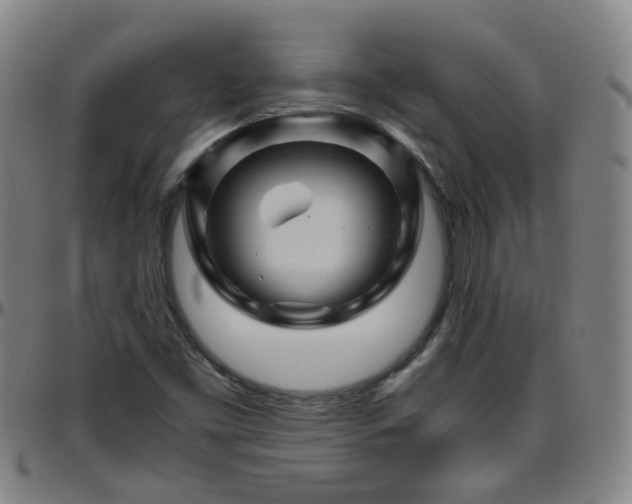 X0000096441453200801311418