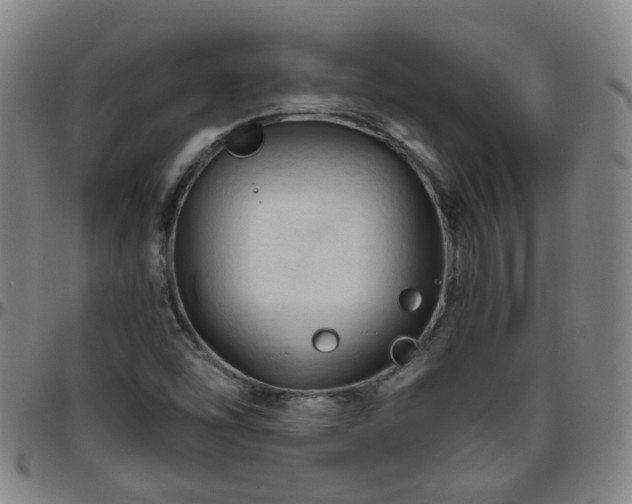 X0000096441454200801311418
