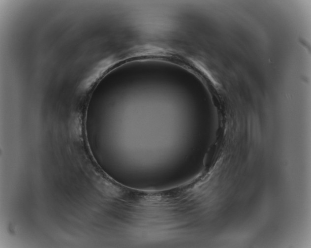 X0000096441455200801311418