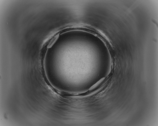 X0000096441456200801311418