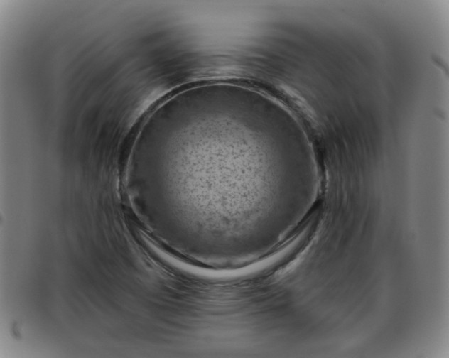 X0000096441457200801311418