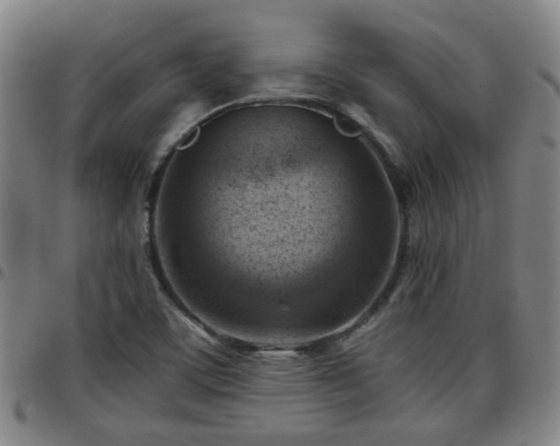 X0000096441459200801311418