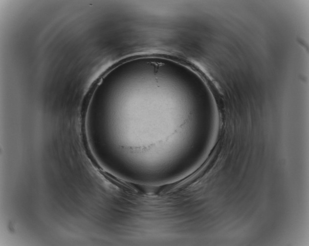 X0000096441460200801311418