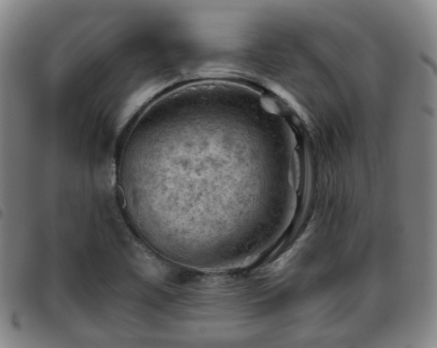 X0000096441461200801311418
