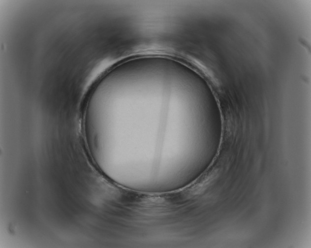 X0000096441462200801311418