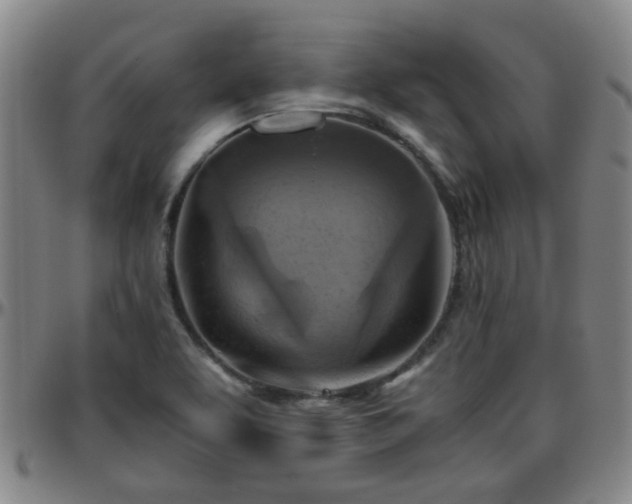 X0000096441463200801311418