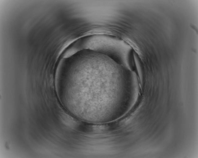 X0000096441465200801311418