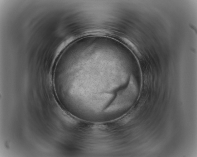 X0000096441466200801311418