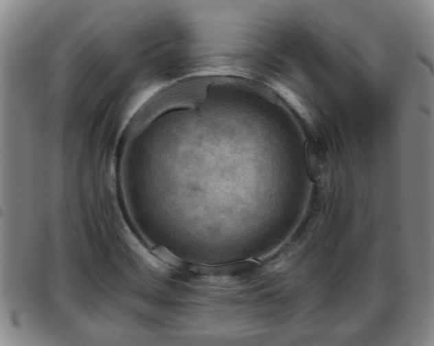 X0000096441468200801311418