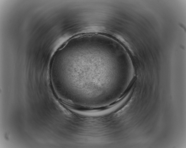 X0000096441469200801311418