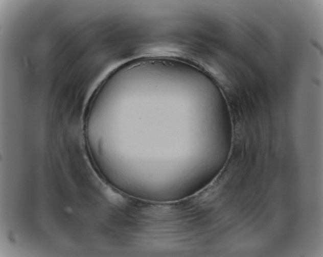 X0000096441470200801311418