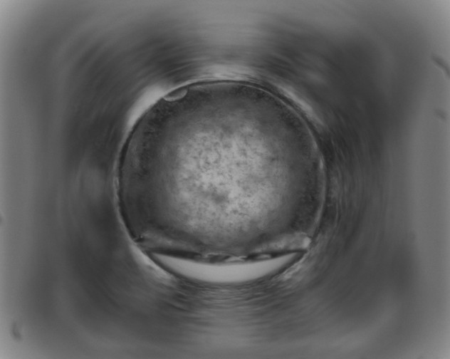 X0000096441471200801311418