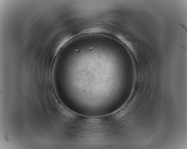 X0000096441473200801311418