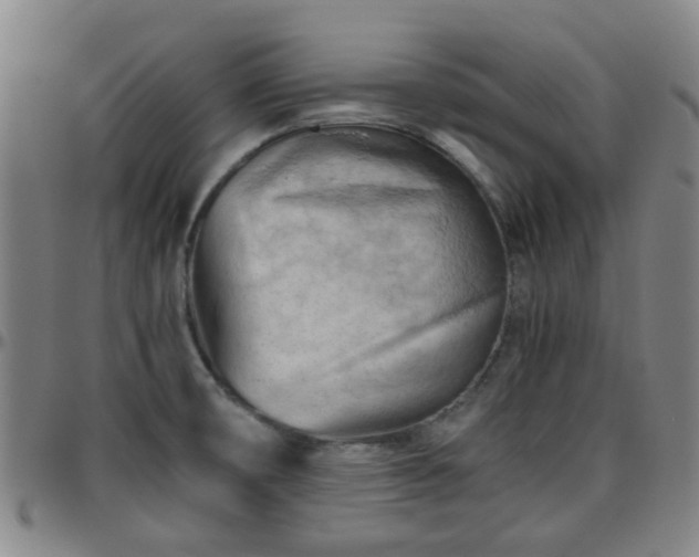 X0000096441474200801311418