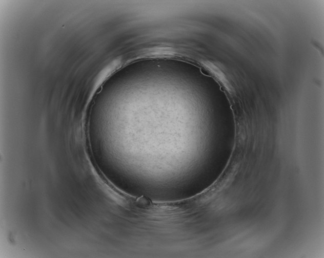 X0000096441475200801311418