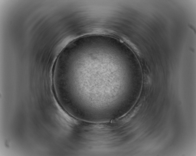 X0000096441479200801311418