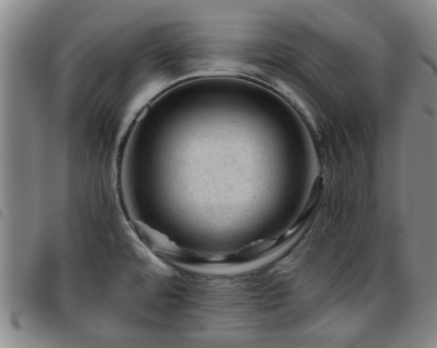 X0000096441480200801311418